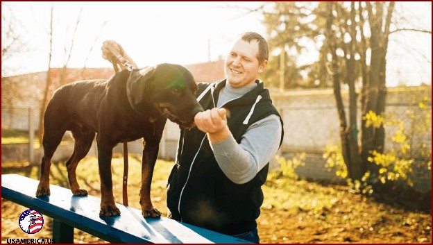 Getting Started with a Dog Training Business