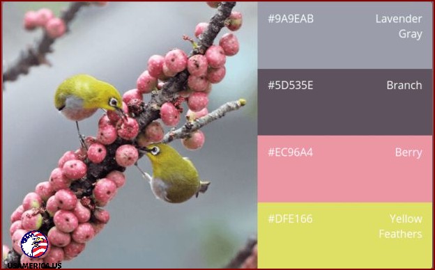 Discover the Magic of the Canva Color Palette Generator