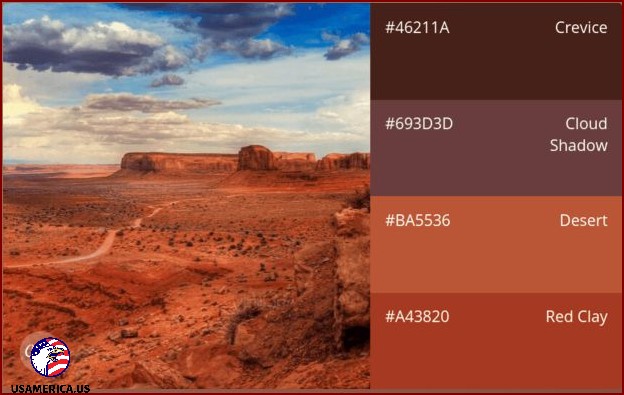 Discover the Magic of the Canva Color Palette Generator